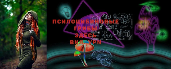 бошки Кодинск