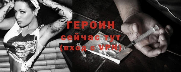 гидра Козловка