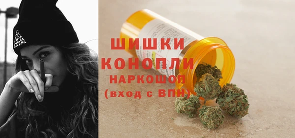 гидра Козловка