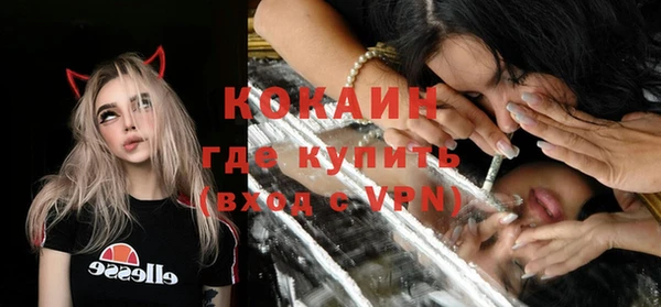 гидра Козловка