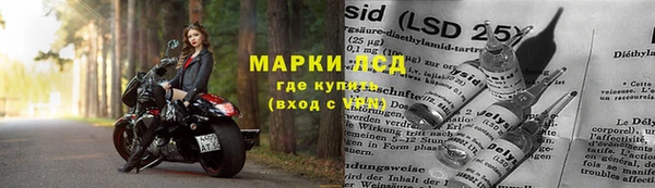 бошки Кодинск