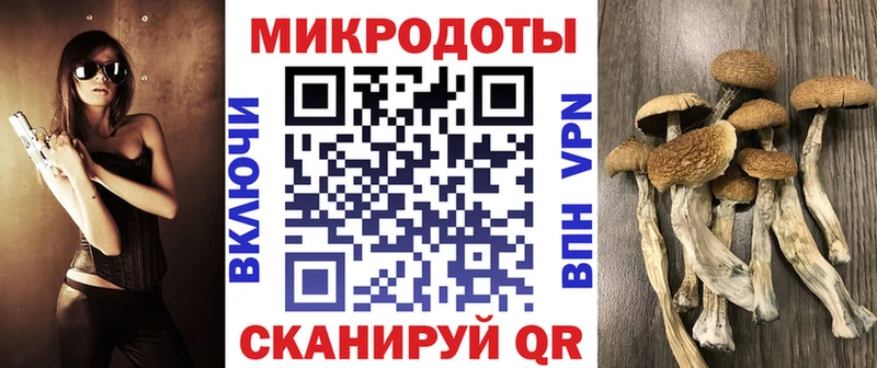 Псилоцибиновые грибы прущие грибы  блэк спрут сайт  Боровск 